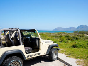Wrangler-Jeep-safari-strand.jpg