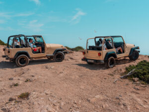 Wrangler-Jeep_2_web