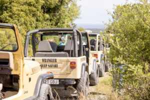jeep-safari-mallorca-1.jpg